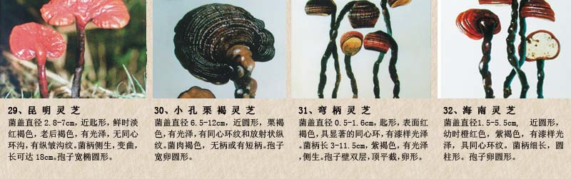 圖片關(guān)鍵詞 圖片關(guān)鍵詞