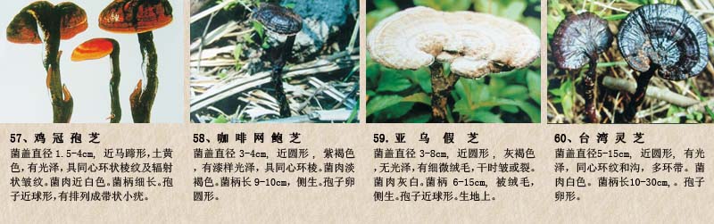 圖片關(guān)鍵詞 圖片關(guān)鍵詞