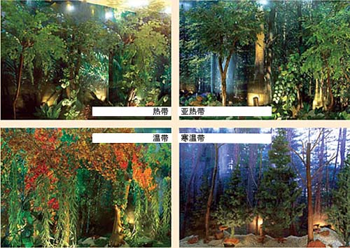 圖片關(guān)鍵詞 圖片關(guān)鍵詞