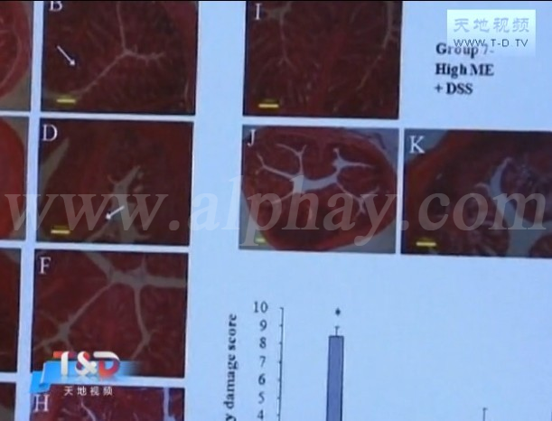 圖片關(guān)鍵詞 圖片關(guān)鍵詞