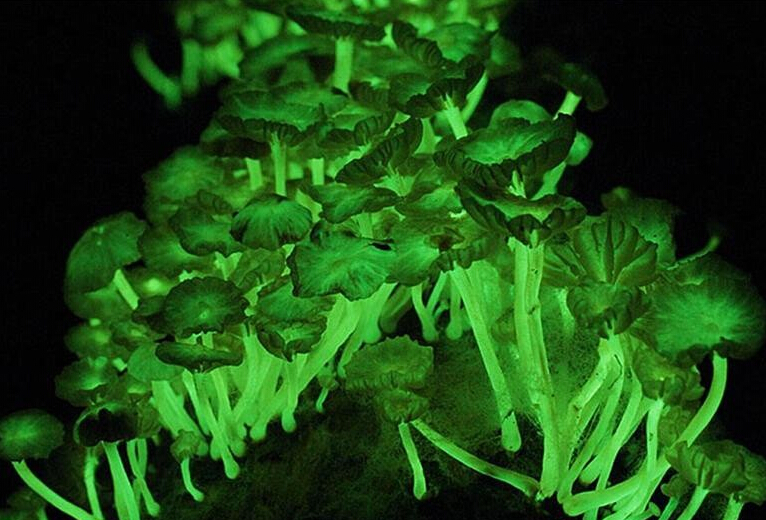 圖片關鍵詞 圖片關鍵詞