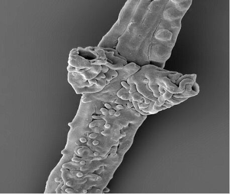 圖片關鍵詞 圖片關鍵詞