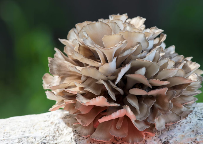 圖片關鍵詞 圖片關鍵詞