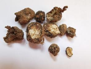 圖片關(guān)鍵詞 圖片關(guān)鍵詞