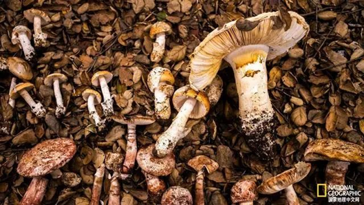 圖片關(guān)鍵詞 圖片關(guān)鍵詞