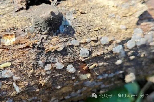 圖片關(guān)鍵詞 圖片關(guān)鍵詞