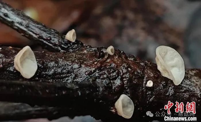 圖片關(guān)鍵詞 圖片關(guān)鍵詞