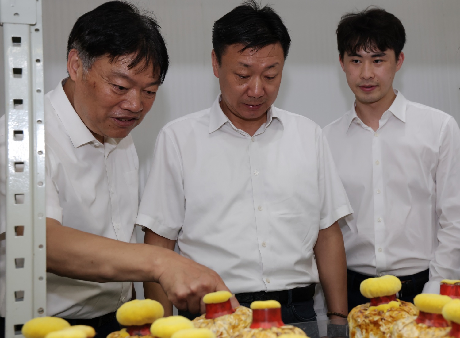 圖片關鍵詞 圖片關鍵詞