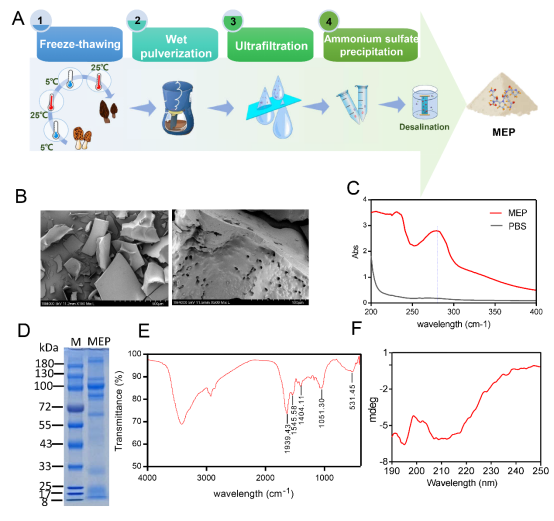 圖片關鍵詞 圖片關鍵詞